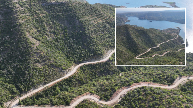 Manavgat’ta yanan ormanlık alanlar yeniden ‘yeşil örtü’ ile kaplanıyor