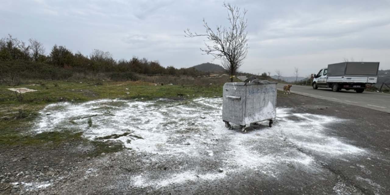 Samsun’da 9 köpek ölü bulunmuştu: Nedeni bu testten sonra ortaya çıkacak
