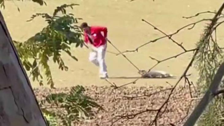 Sokak köpeğini iple sürüklemişti! Belediye personeli ile ilgili karar belli oldu