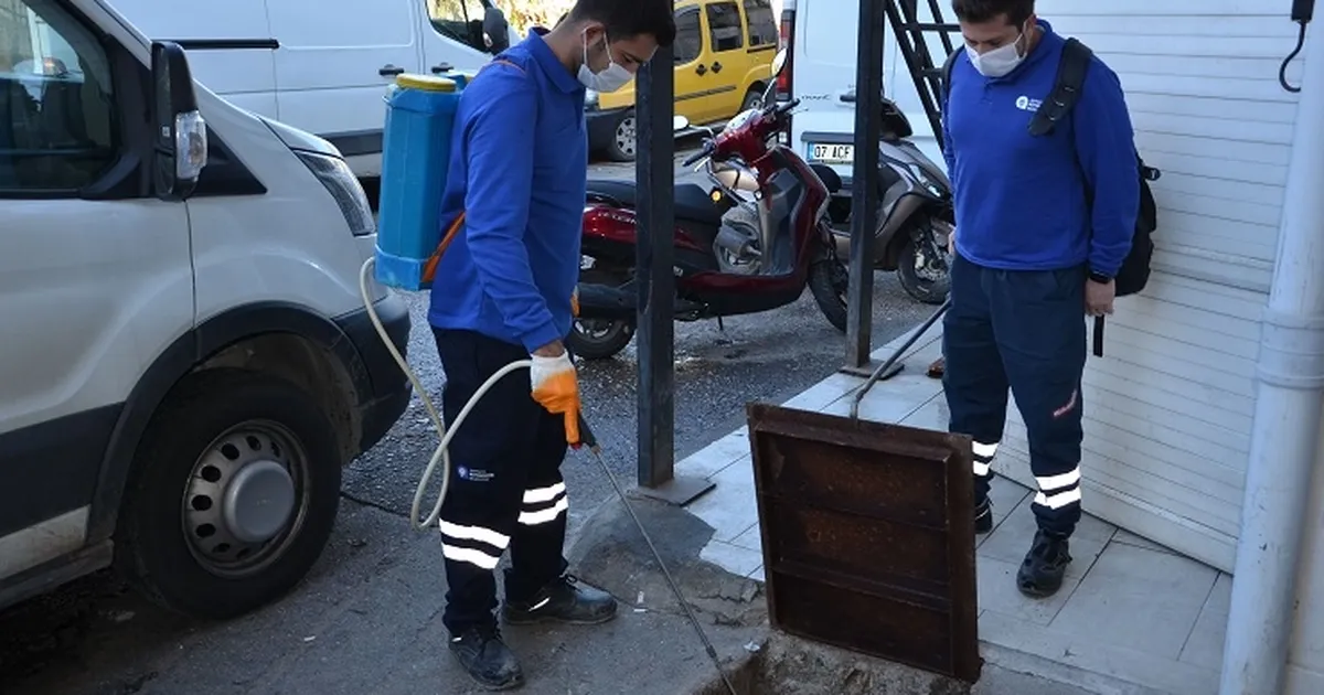 Antalya’da vektörel mücadele çalışmaları sürüyor
