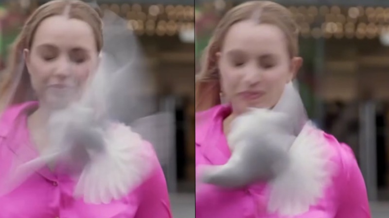 Muhabire kuş çarpınca haber yarıda kaldı