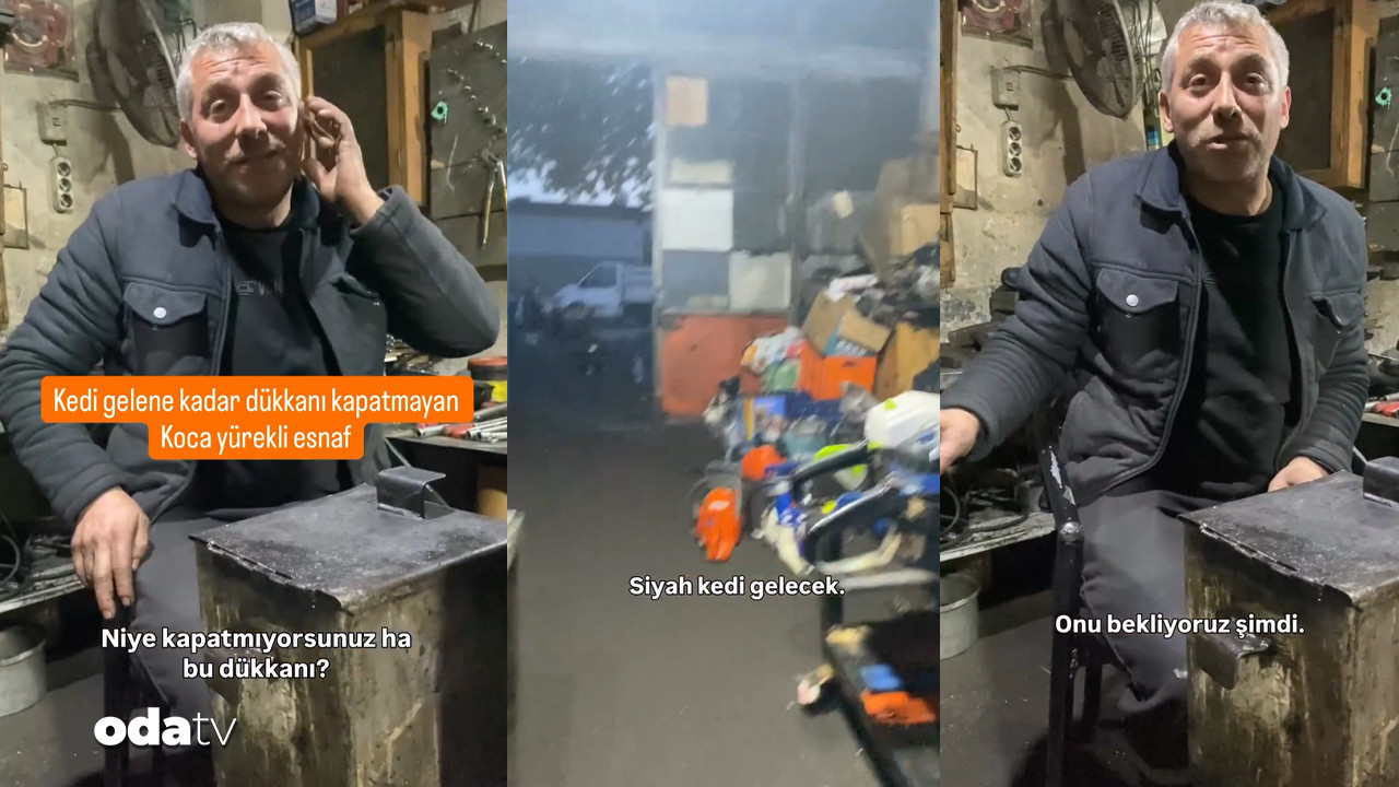 Tokat’ta esnafın ‘kedi’ mesaisi… ‘On dakikaya gelir’