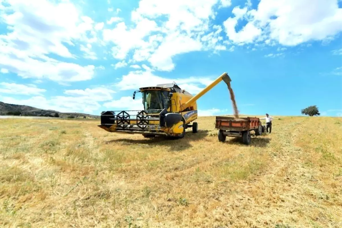 Hayvancılığa Destek Projesi Bayburt’ta Başladı