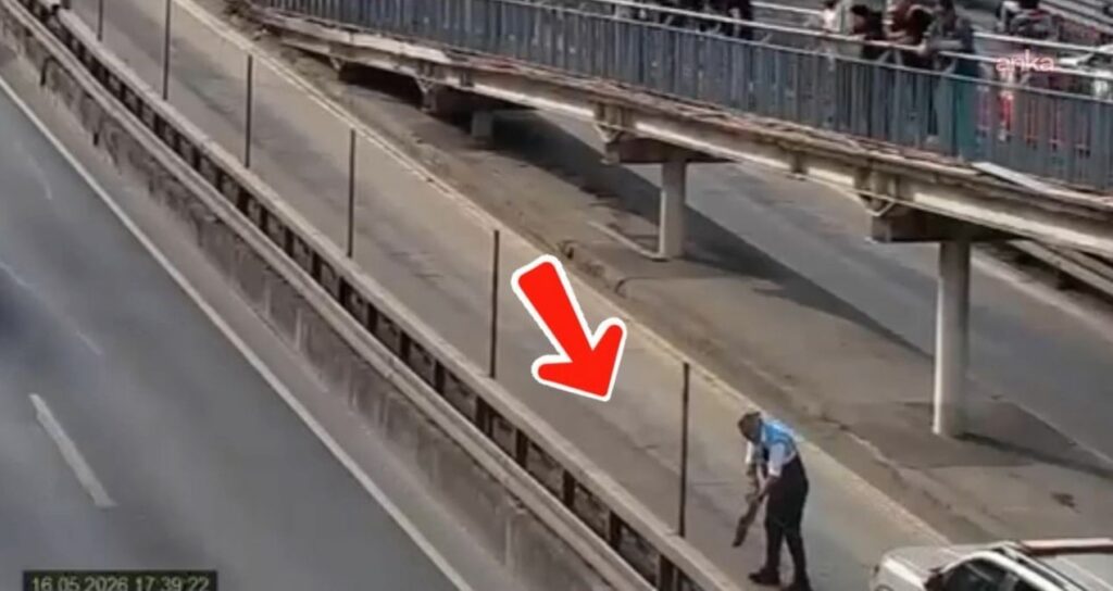 Metrobüs Hattında Yavru Kedilere Kurtarma Operasyonu
