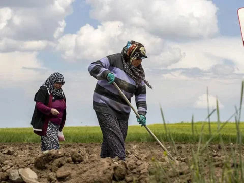 Yumakli tarimsal hasilayla ovunuyor turkiye kendi kendine yetemiyor gercek basari halkin gidaya ne kadar rgrnlRTl