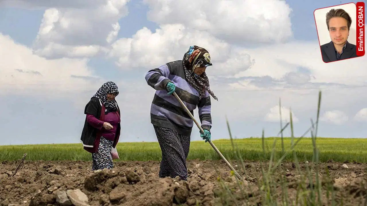 Yumakli tarimsal hasilayla ovunuyor turkiye kendi kendine yetemiyor gercek basari halkin gidaya ne kadar rgrnlRTl